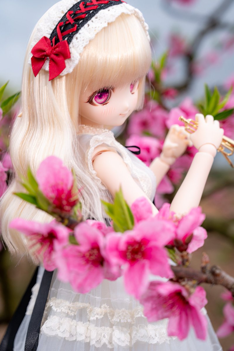 moekooli's tweet photo. #MDDはいいぞ 
#うちのこかわいい https://t.co/H49WCeJAqO