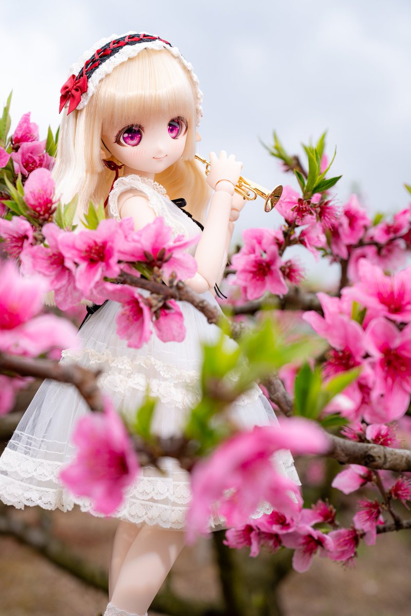 moekooli's tweet photo. #MDDはいいぞ 
#うちのこかわいい https://t.co/H49WCeJAqO