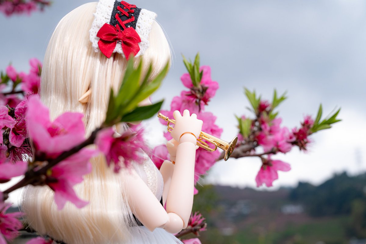 moekooli's tweet photo. #MDDはいいぞ 
#うちのこかわいい https://t.co/H49WCeJAqO