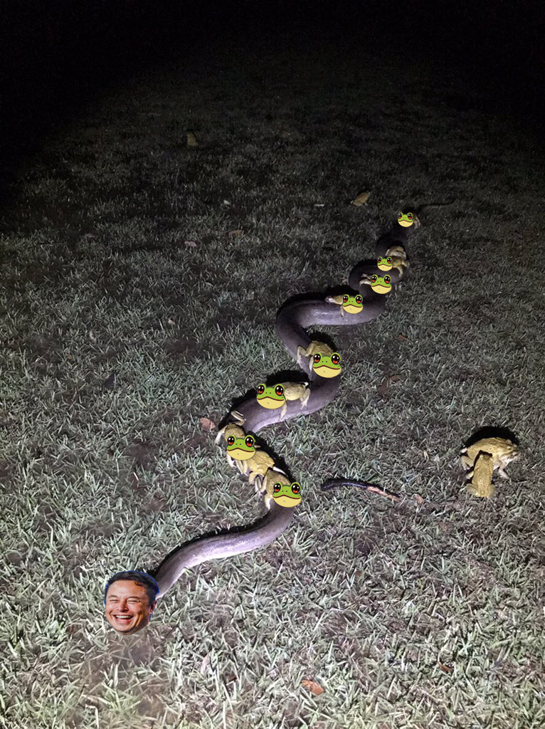 HelpsMaster tweet media