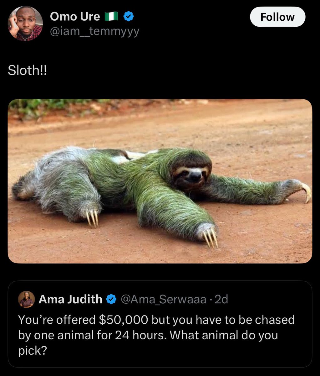 Alaba589's tweet photo. Stray bullet touch Glo network sef 😂😂🤣 https://t.co/z48egzQlIV