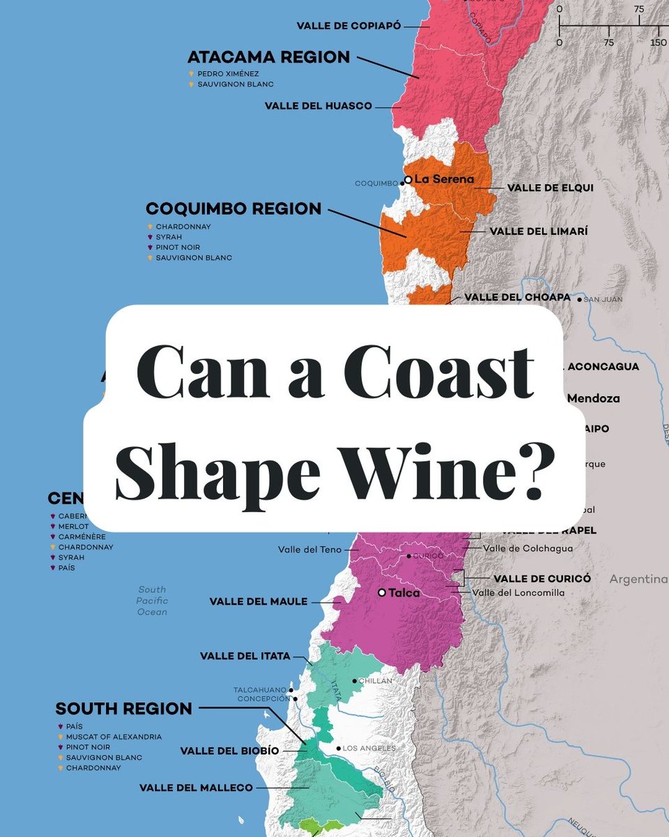 WineFolly's tweet photo. This long, skinny country sandwiched between the Andes Mountains and the Pacific Ocean is a cool-climate playground with a wild range of styles — from coastal Chardonnay to high-elevation Syrah.
🎯 Learn more at https://t.co/3O2zJ3rY1W
#ChileanWine #WineEducation #WineMap https://t.co/9UjMjlWG4W