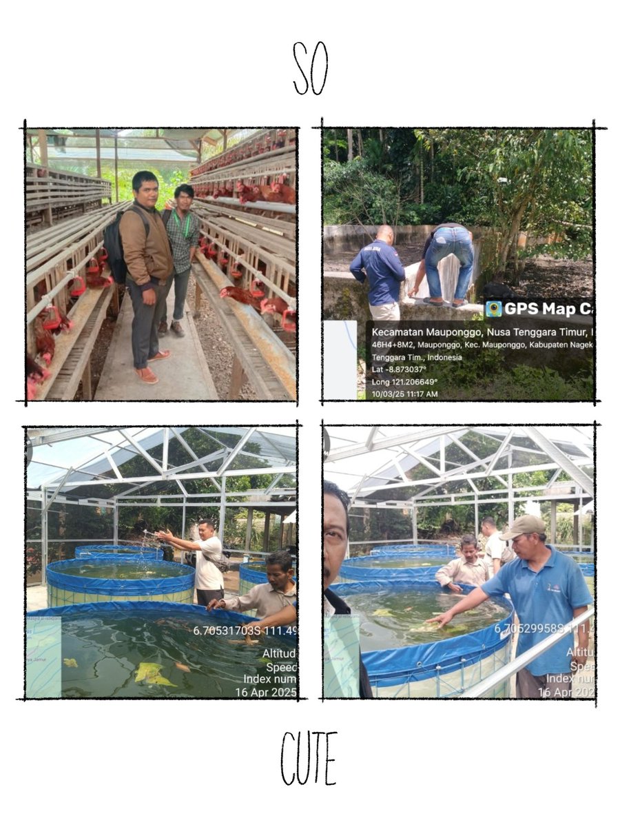 hardi_juna23579's tweet photo. Ketahanan Pangan untuk kesejahteraan rakyat desa
#TerimaKasihPakYandriSusanto 
@prabowo 
@YandriSusanto27 
@taufikmadjid71 
@kemendespdt 
@bpsdmkemendesa https://t.co/WwYJerzlWX