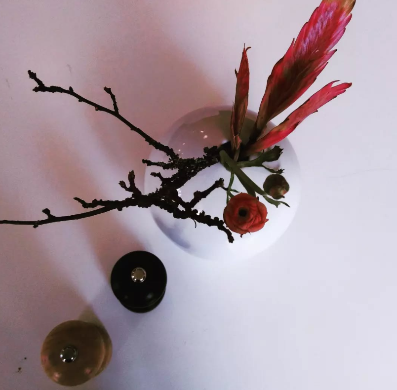 BreveDicha's tweet photo. I hide myself within my flower,
That fading from your Vase,
You, unsuspecting, feel for me—
Almost a loneliness.

Emily Dickinson
(1830 – 1886)

#PoetryForAChange https://t.co/hulCDJdcR3