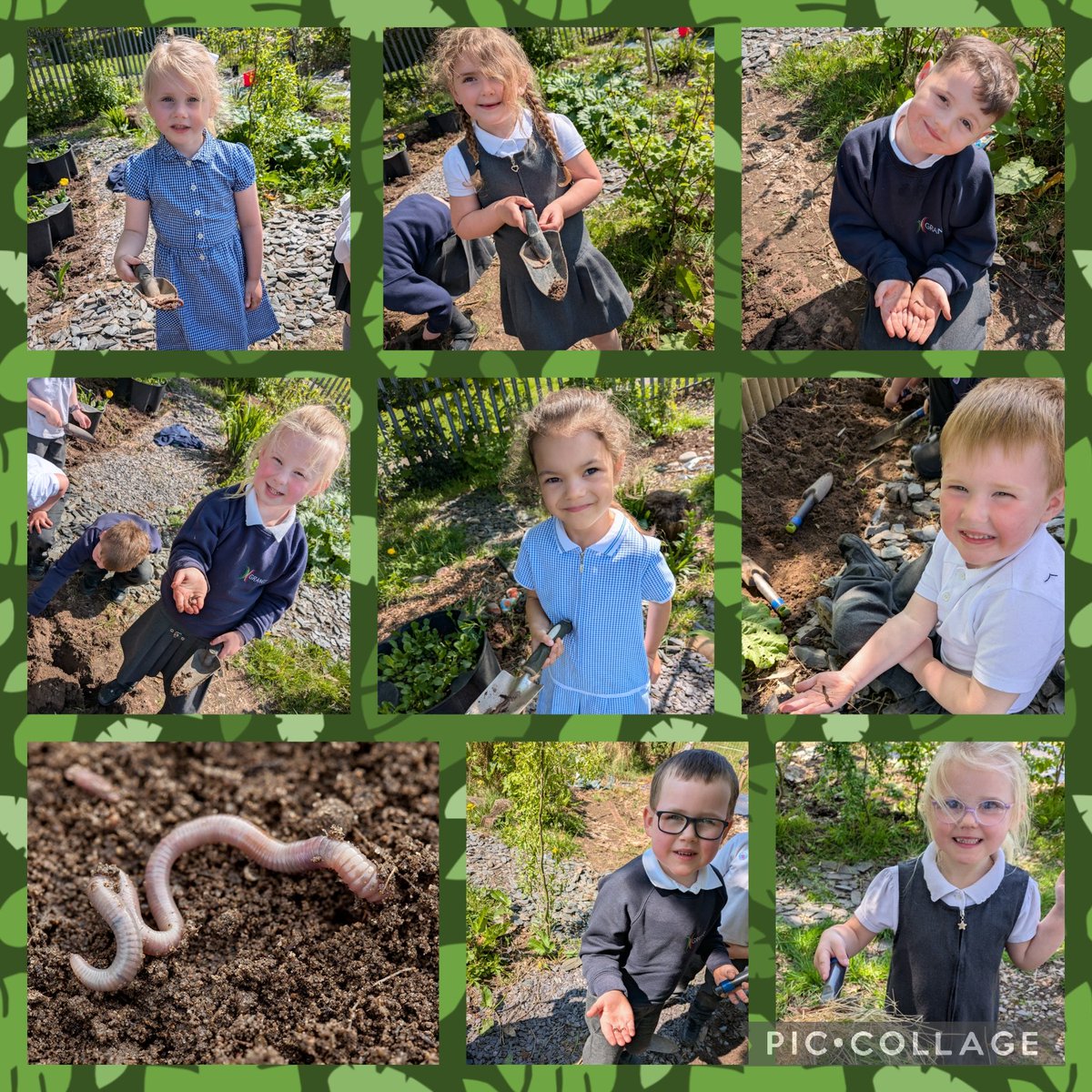 GrangeMrsJ's tweet photo. Reception have had a great time in the allotments. We found lots of worms and even practiced our number bonds. Amazing work Reception Xx. #GrangeMaths #GrangeReception #GrangeScience #learningoutdoors @GrangeMissA @GrangeMrsMcG https://t.co/C2id6Ve0zo