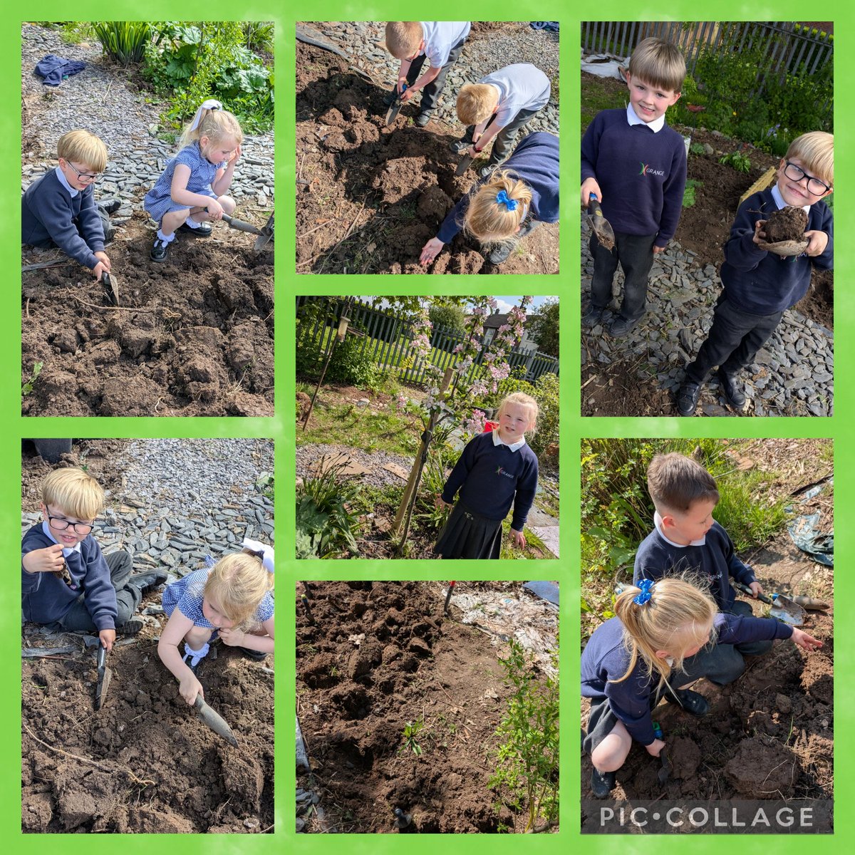 GrangeMrsJ's tweet photo. Reception have had a great time in the allotments. We found lots of worms and even practiced our number bonds. Amazing work Reception Xx. #GrangeMaths #GrangeReception #GrangeScience #learningoutdoors @GrangeMissA @GrangeMrsMcG https://t.co/C2id6Ve0zo