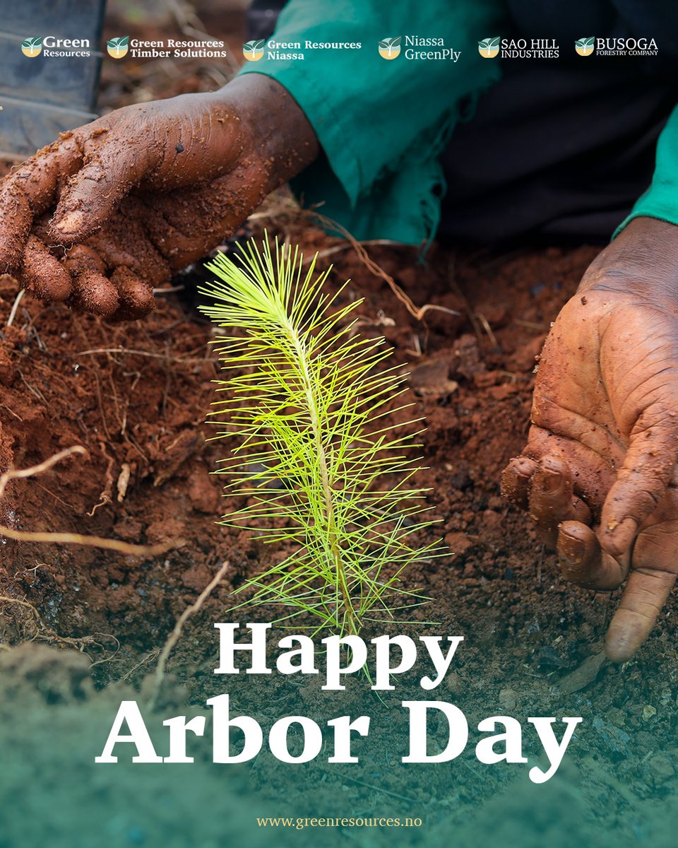 GreenResources's tweet image. Trees are the living roots of our environment. 🌱 

On this Arbor Day, we celebrate the vital role forests play in creating healthy, thriving communities. Together, let’s keep planting and protecting.

#ArborDay #TreeByTree #ForestsMatter