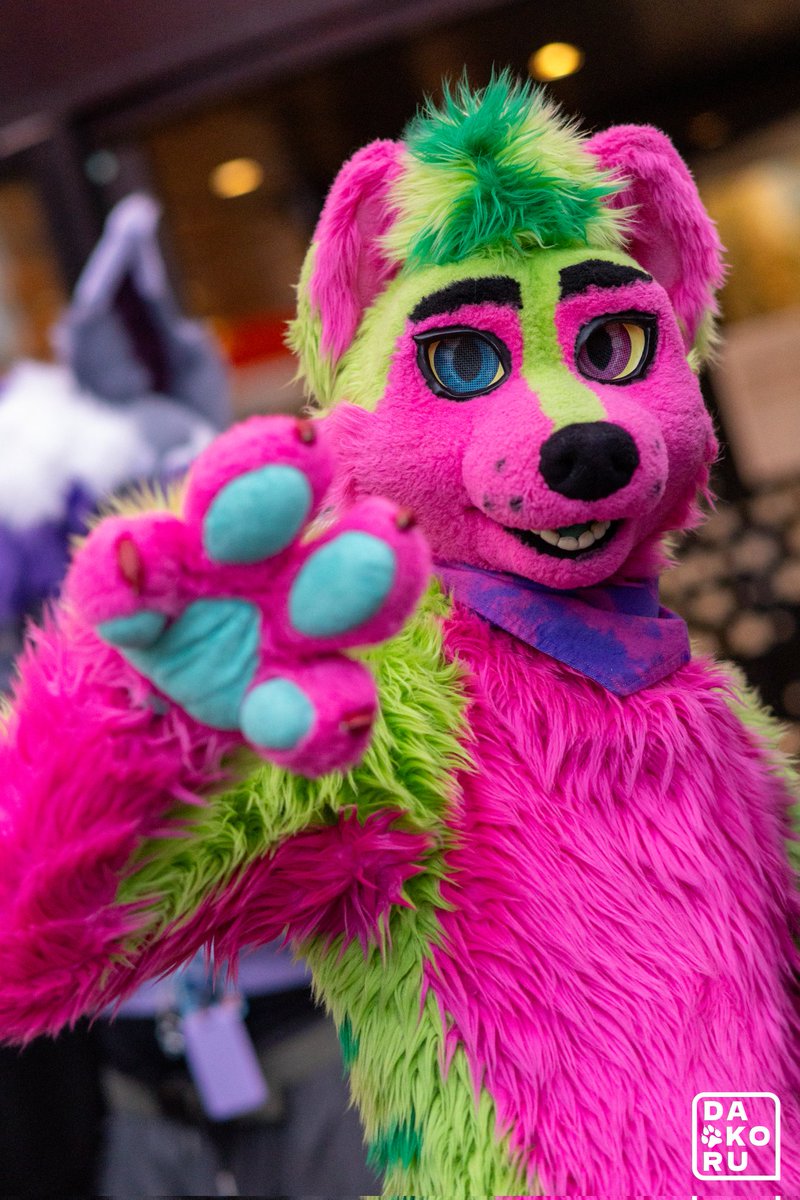 Heey 👋, have a nice #FursuitFriday 🥰

📷 <a href="/Furball_Dakoru/">🐺🐾 Dakoru 🐾🐺</a>