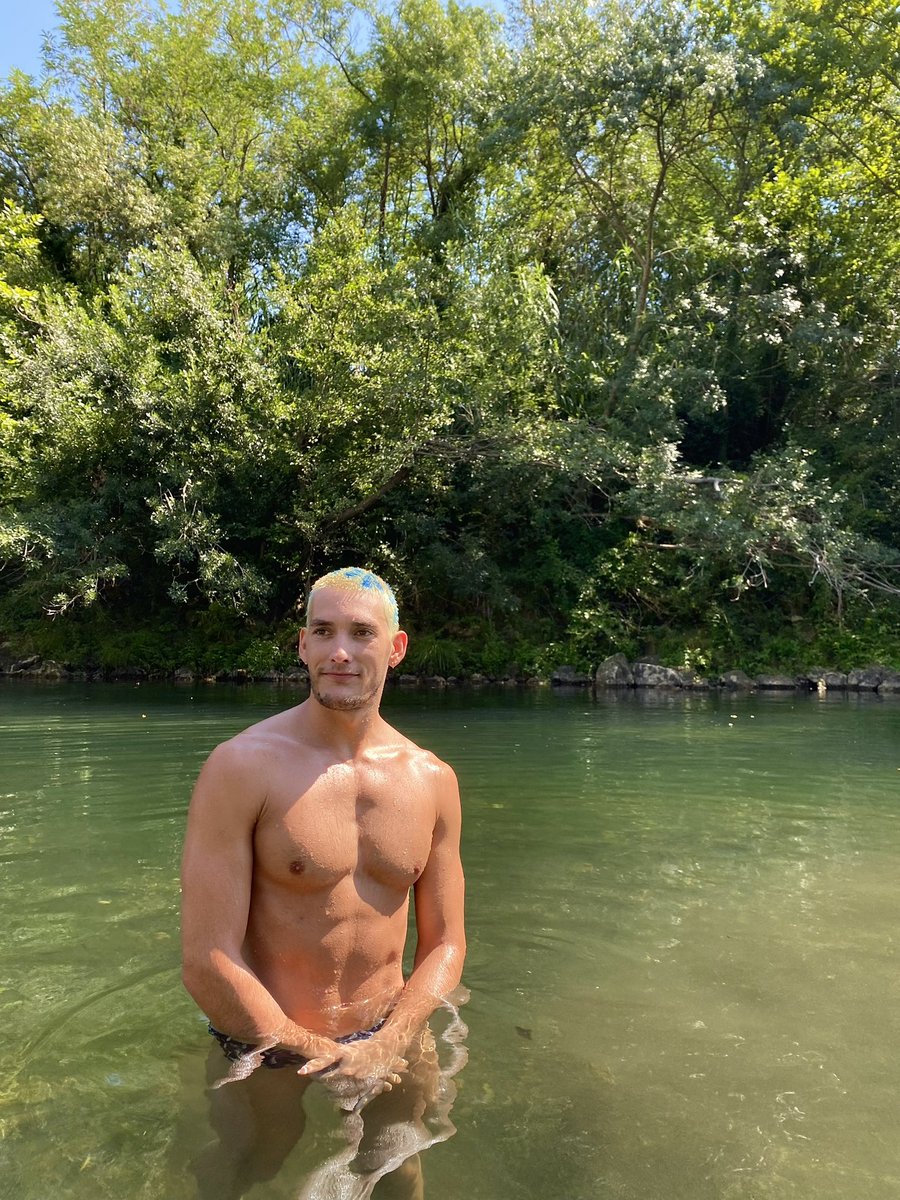 Sunflower guy tweet media