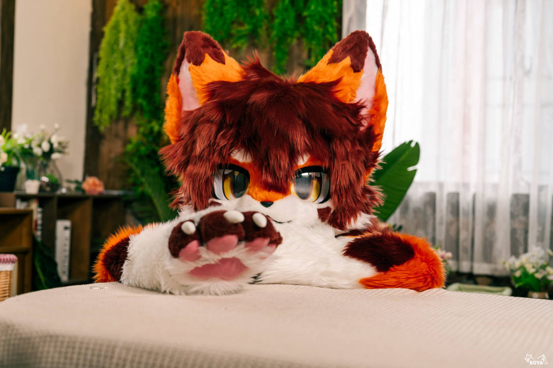 枫晓Spade tweet media