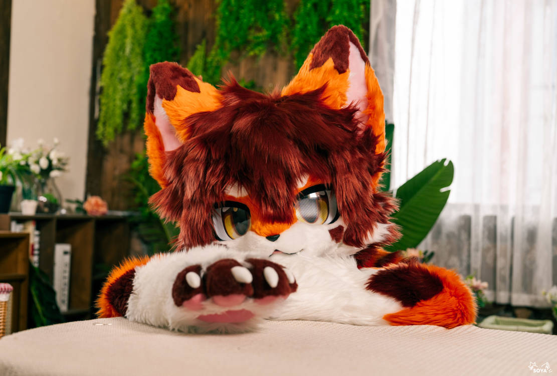 枫晓Spade tweet media