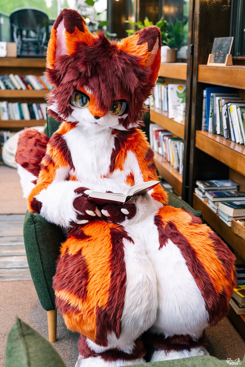 #FursuitFriday

初见之喜，乍见之欢
初见那一抹橘红，是枫叶的热情，是太阳的火热

出镜：枫晓 
摄影：<a href="/SoyaOWO/">豆浆Soya</a>

（同步一下）