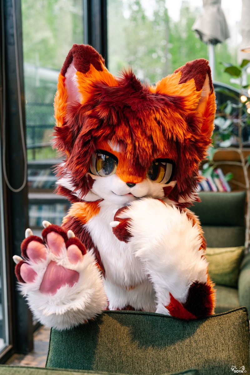 枫晓Spade tweet media