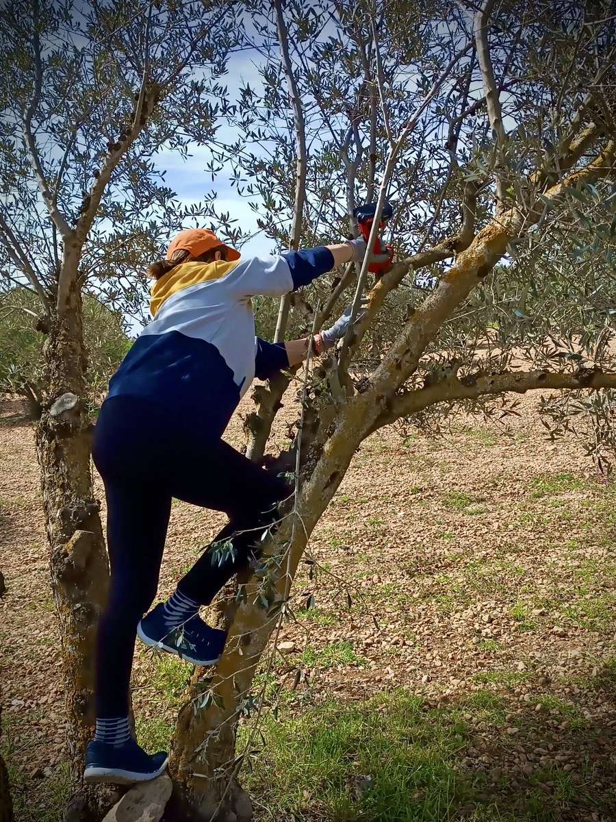 FMusol's tweet image. 📌 Proyecto &quot;Bibliotecas por la Paz y la Democracia&quot; financiado por @gobjccm.

#ODS16 #CulturaDeLaLegalidad #E4J #CastillaLaMancha 🕊️+⚖️=📸