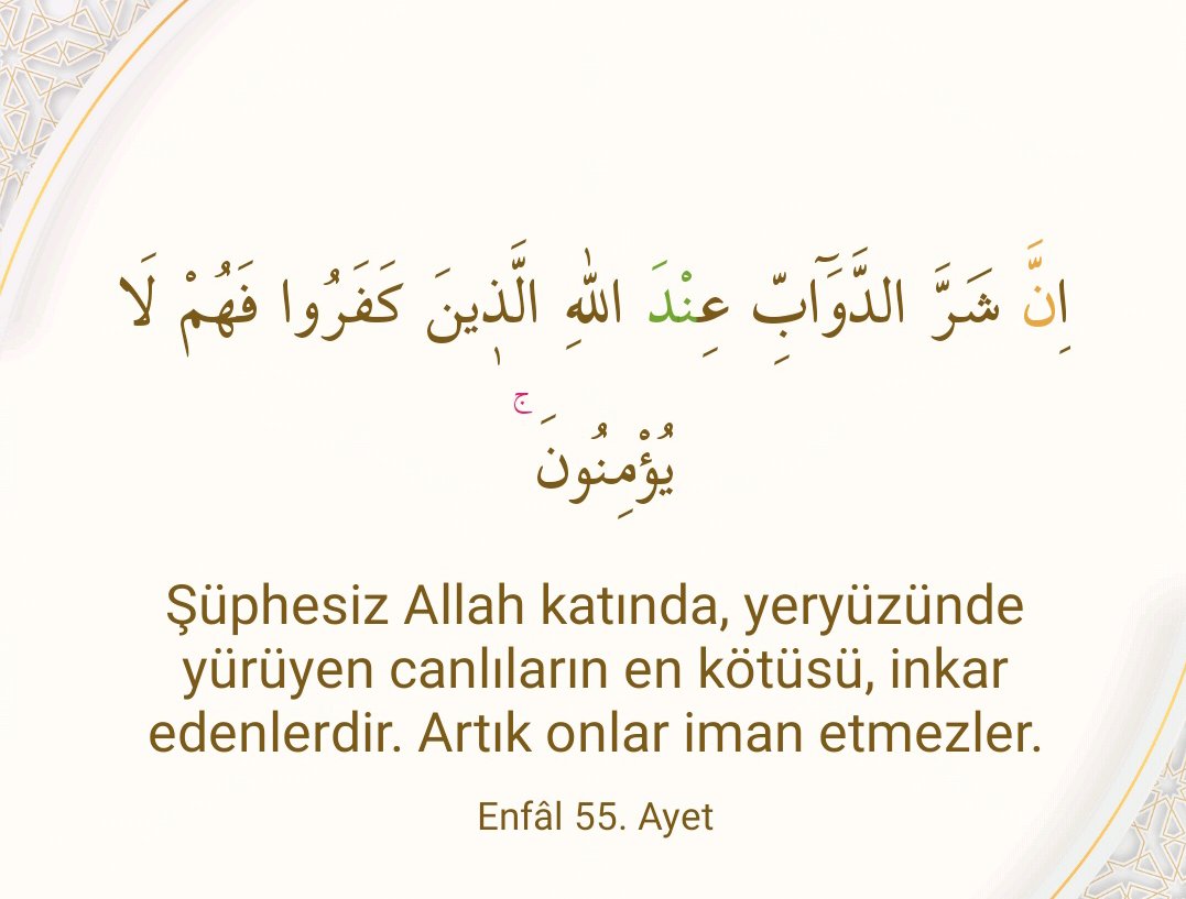 55MUSTAFAEVCCCE's tweet photo. (Ey kafirler!) Bu, sizin ellerinizin önceden yaptığının karşılığıdır. Yoksa Allah kullarına zulmedici değildir. Enfâl 51. Ayet

#Hayırlı_Cumalar
#IsraelTerroristState #IsraelKiller
#wakeupmuslim #FreePalestina #GazaGenocide #GazaHolocaust
#IsraelCrimes
#Israel_Enemy_of_Humanity https://t.co/3zVAQQqmsU
