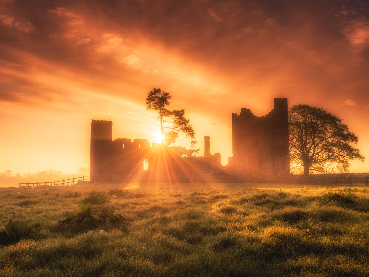 Another from Bective Abbey yesterday morning, it was such a good morning.