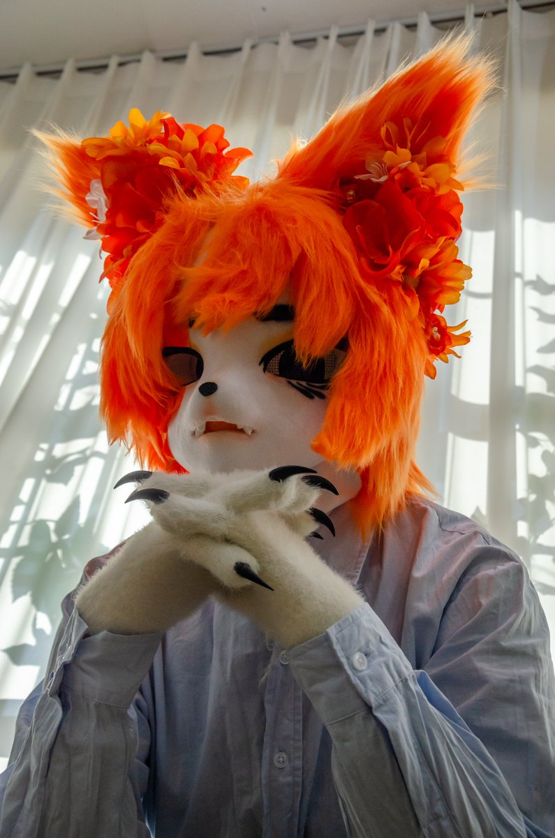 #FursuitFriday #Fursuit #도파민충전촬 

어디 한 번 볼까?
📸매실님 <a href="/maesil368661/">매실(반동결❄️)</a>