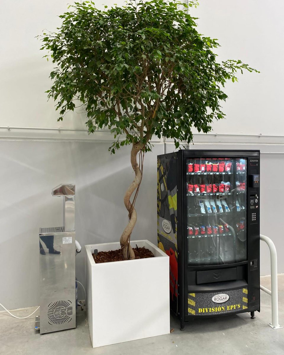 Automáticos Rogar Vending tweet media