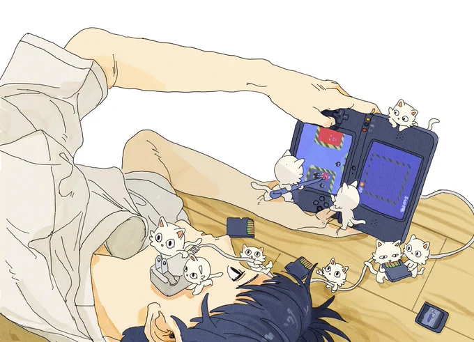 小さな猫との暮らし 