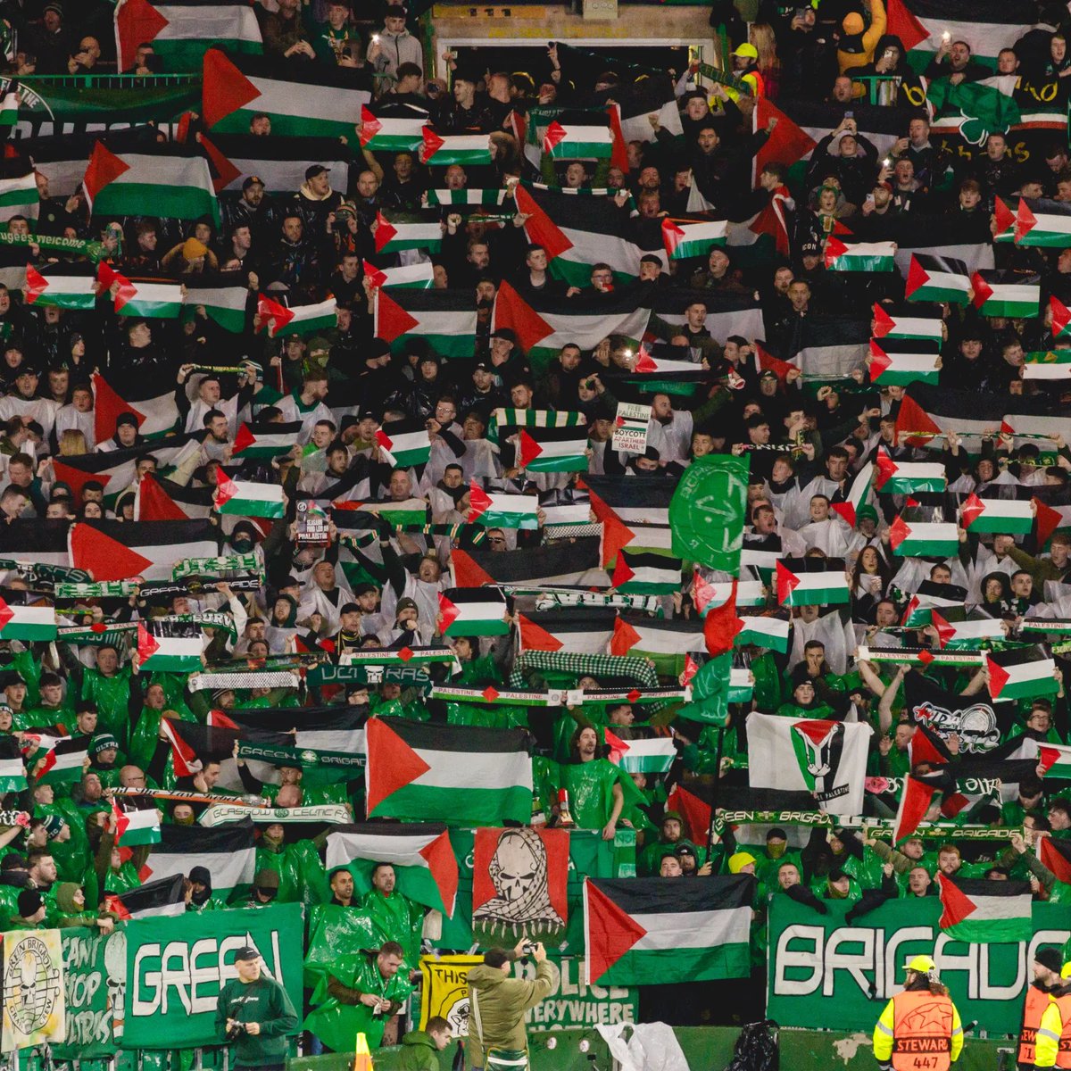 nobby mclaughlin tweet media