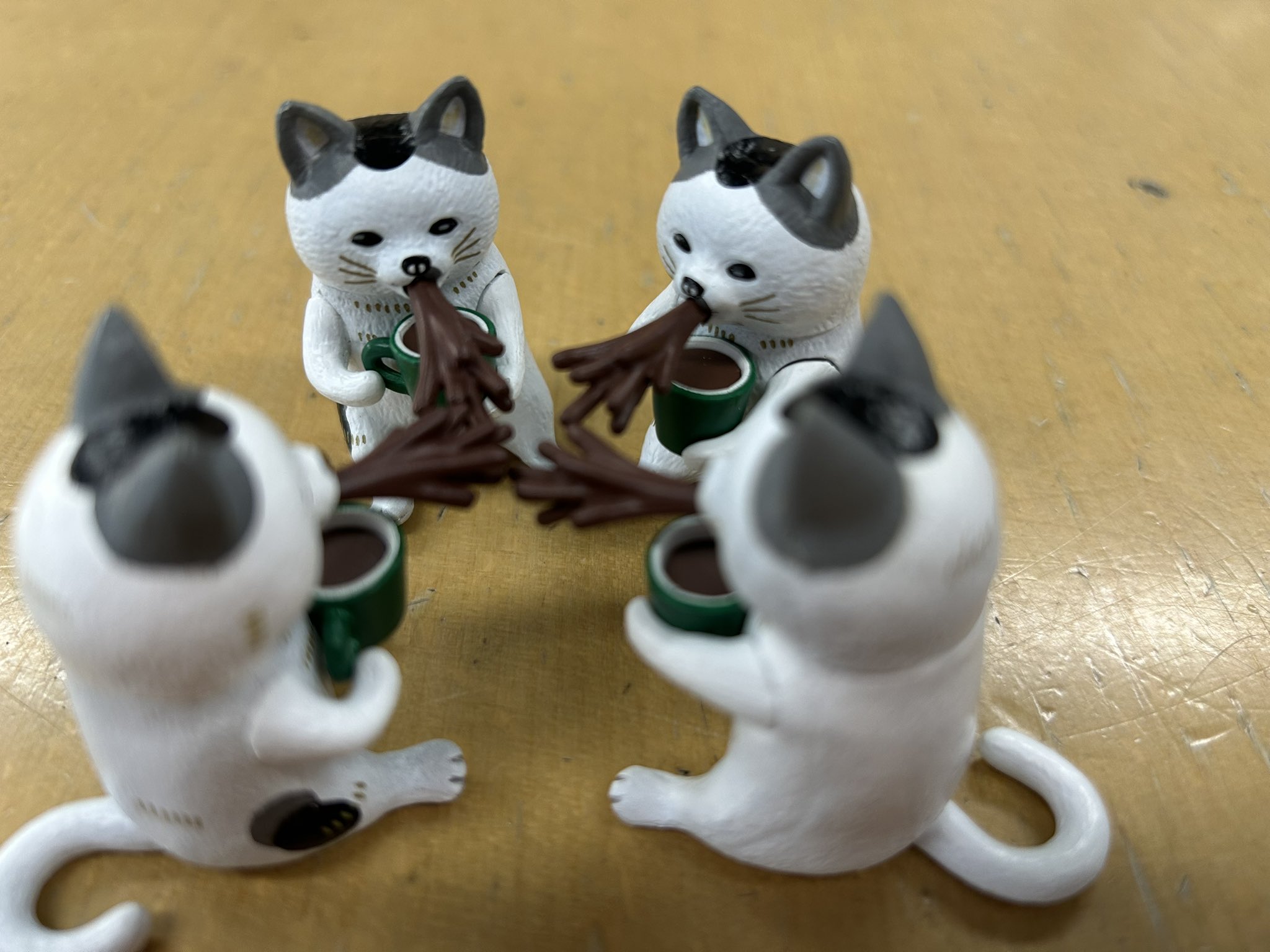 猫と金魚』発売。気になる金魚をじ～っと | がちゃぽん情報