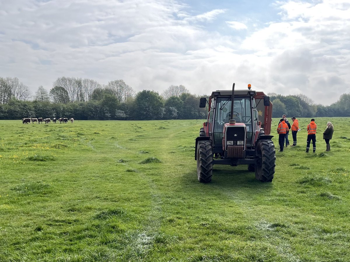 Davedoes_'s tweet photo. Must be Spring. The Coldham Common Cambridge Cows are back. And they’re frisky! https://t.co/yvwbXTrldC