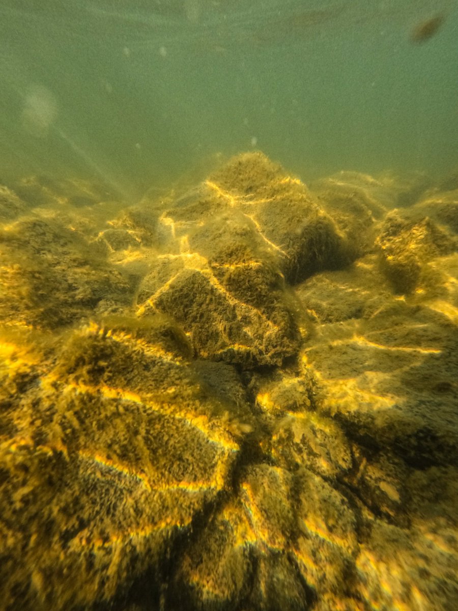 MattStaniek tweet media