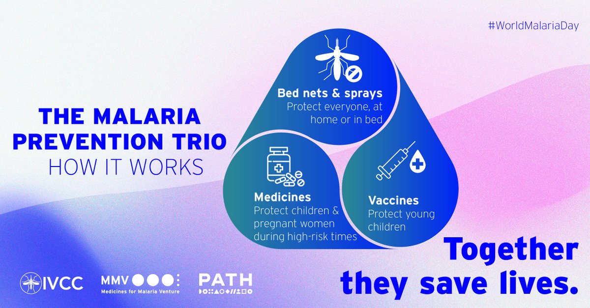 IVCC (@invectorcontrol) on Twitter photo 🔧 No single tool will #EndMalaria. Locally led, context-driven strategies—combining #vaccines, meds & vector control—are key. #WorldMalariaDay #GlobalHealth <a href="/PATHtweets/">PATH</a>, <a href="/PATHMalaria/">PATH Malaria</a> and <a href="/MedsforMalaria/">Medicines for Malaria Venture (MMV)</a> 🔧 No single tool will #EndMalaria. Locally led, context-driven strategies—combining #vaccines, meds & vector control—are key. #WorldMalariaDay #GlobalHealth <a href="/PATHtweets/">PATH</a>, <a href="/PATHMalaria/">PATH Malaria</a> and <a href="/MedsforMalaria/">Medicines for Malaria Venture (MMV)</a>