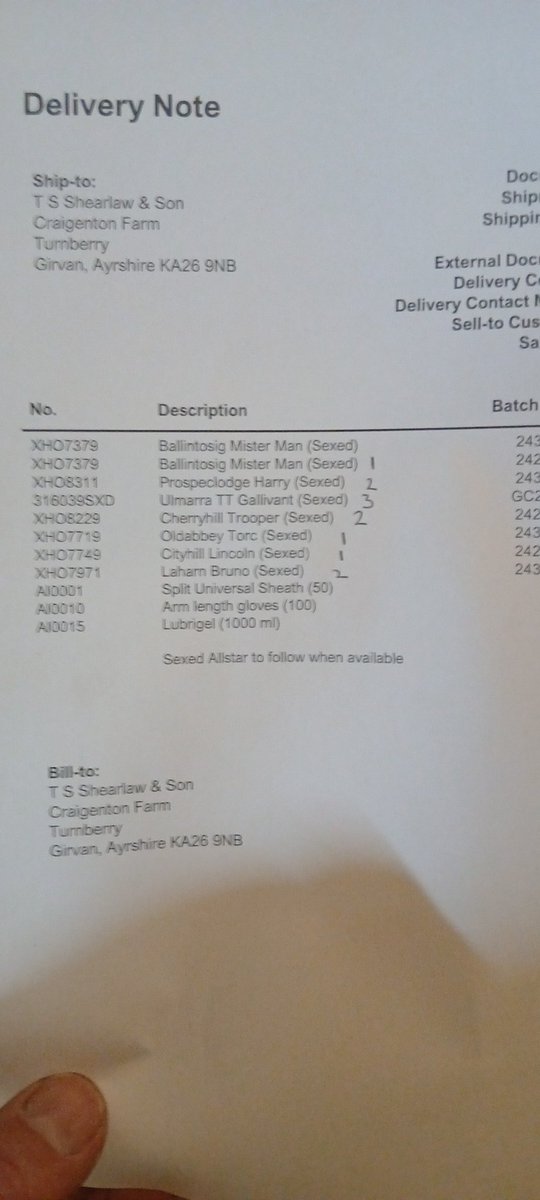 Tom Shearlaw tweet media