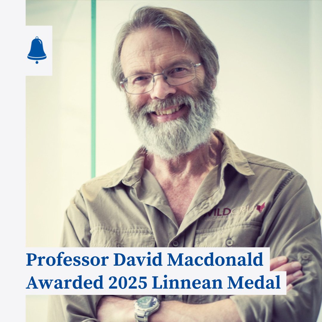 Lady Margaret Hall (@lmhoxford) on Twitter photo 🗞️ Wildlife Fellow & <a href="/WildCRU_Ox/">WildCRU, Oxford</a> founder Professor David Macdonald has been awarded the Linnean Medal for long-standing and significant contributions to natural sciences.
Congratulations to David on this recognition of his contribution to global wildlife conservation & research. 🗞️ Wildlife Fellow & <a href="/WildCRU_Ox/">WildCRU, Oxford</a> founder Professor David Macdonald has been awarded the Linnean Medal for long-standing and significant contributions to natural sciences.
Congratulations to David on this recognition of his contribution to global wildlife conservation & research.