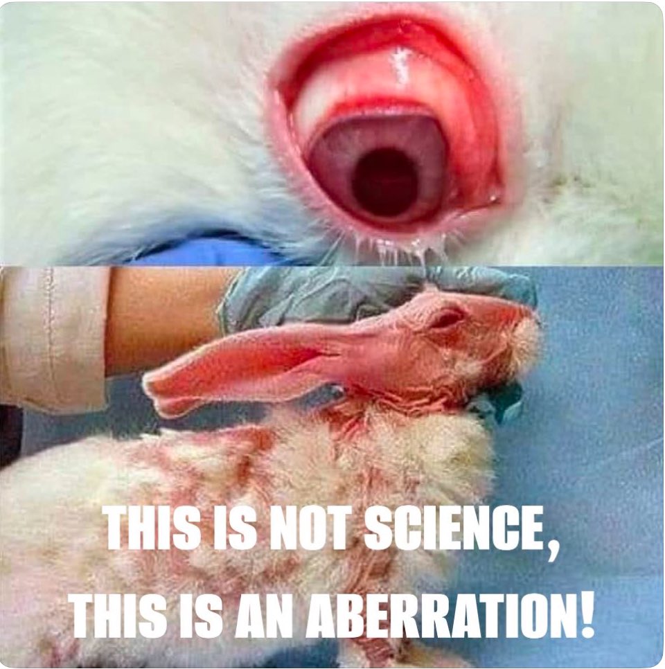 vegan_teacher__'s tweet photo. 「科学」という名の「道徳的逸脱」。

#動物実験反対 #againstanimaltesting #fightinganimaltesting #脱搾取 #vegan #動物解放 #animalliberation https://t.co/qhMTo3TWqN