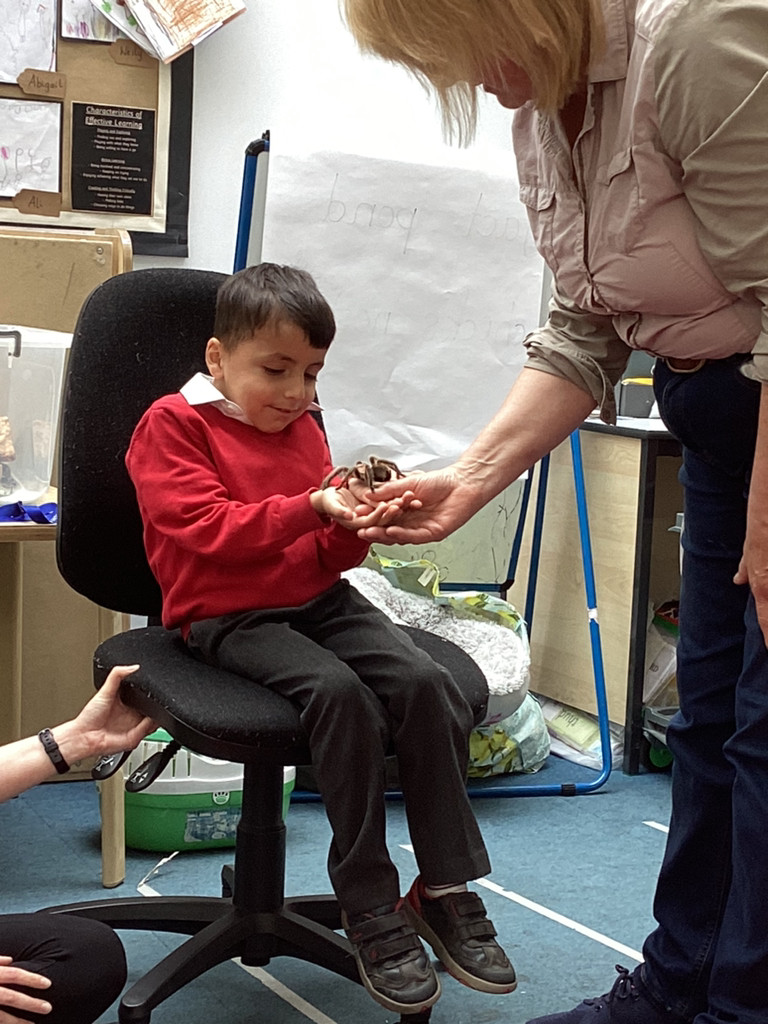 A creature from every continent! Thank you  <a href="/magsanimals/">Creature Ark</a> for a wonderful journey across the globe, animal by animal. Through their current project, our Reception children are World Voyagers 🌍🐍🦎🕷️