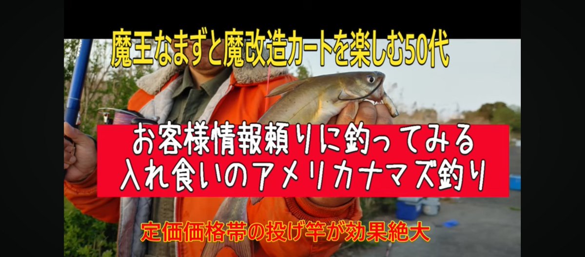 rira_kumatako's tweet photo. https://t.co/3bU5x2nCha

久しぶりのコンコンポイト
常連のマッキーさんから情報もらい行ってきました

#アメリカナマズ
#アメナマ
#monsterfish
#channelcat
#YouTuber
#霞ヶ浦なまず調査団
#クマ兵長
#アリサ https://t.co/7dQ3mGZVgs