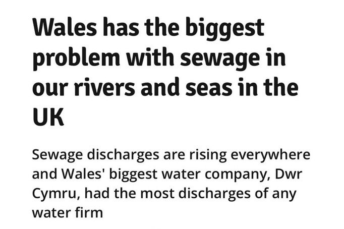 Llŷr Powell tweet media