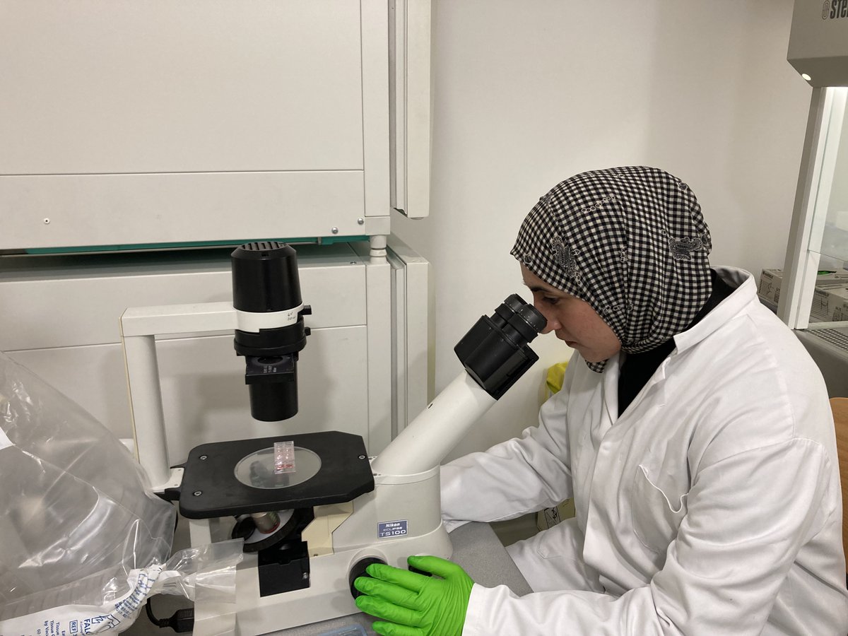 Euro-BioImaging ERIC tweet media