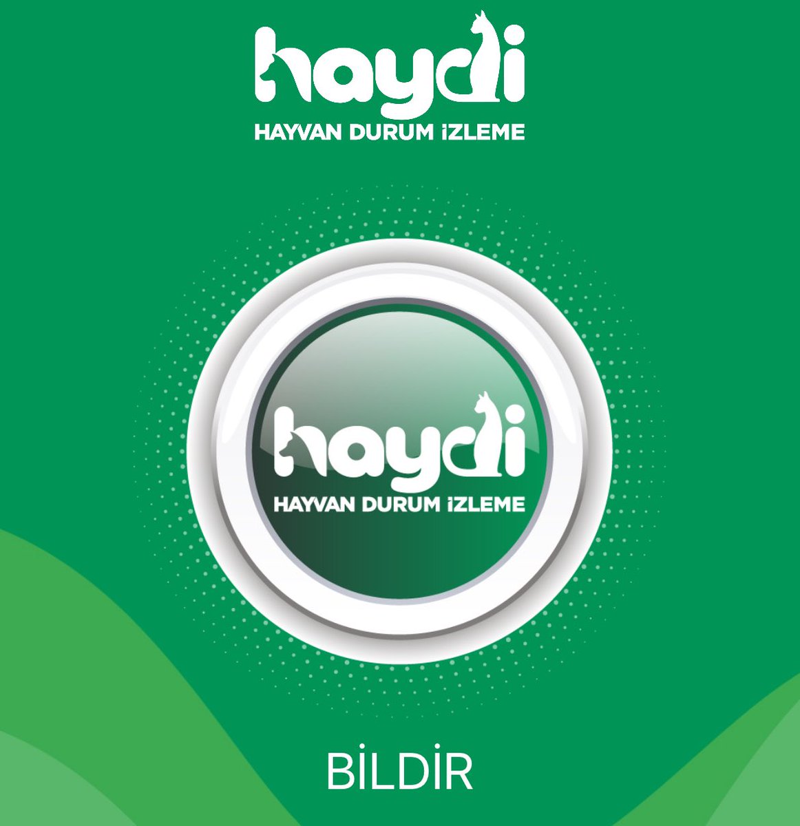 Tavukların yardım çığlığını duydum ve villa bahçesine hapsedilmiş en az 10 gündür aç bırakılmış kümes hayvanlanlarının kurtarılması için başvuruları yaptım. Resmi işlemler biraz zaman alabilir bu yüzden sosyal medyada paylaşmak istedim.