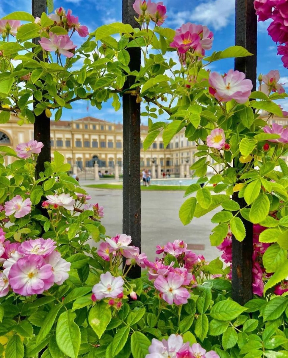 Anche oggi vi aspettiamo per un’esperienza Reale!

Buon #25aprile 🇮🇹 

Alla #Reggia puoi:
🏰 visitare la Villa Reale oggi 25 aprile, dalle 10,30 alle 18,30, ultimo ingresso 17,30;
🚂 fare un bel giro del #Parco con il trenino 

sito reggiadimonza.it

📸 @laviv89