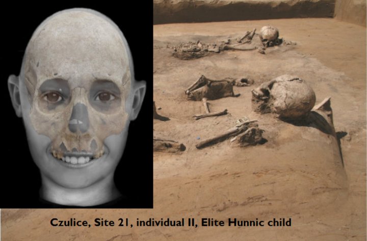 aboutadna's tweet photo. Elite Hun child from Poland Czulice (czu-002, ~%80 East Asian) yields N1a, he very likely has N-M2019 as well (similar to TGH Hun and Elite Xiongnu) if the sample had enough Y-chro resolution. 
N-M2019 shows a continuous eliteness among both Xiongnu and Huns. https://t.co/22zJcEsQ0B