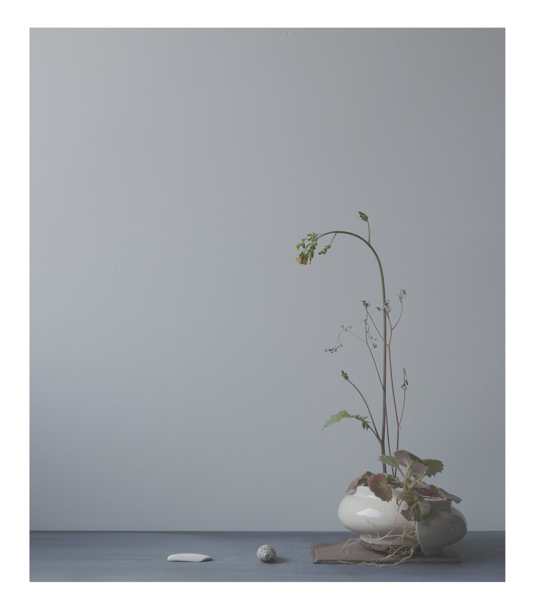 photo diaries.....distance