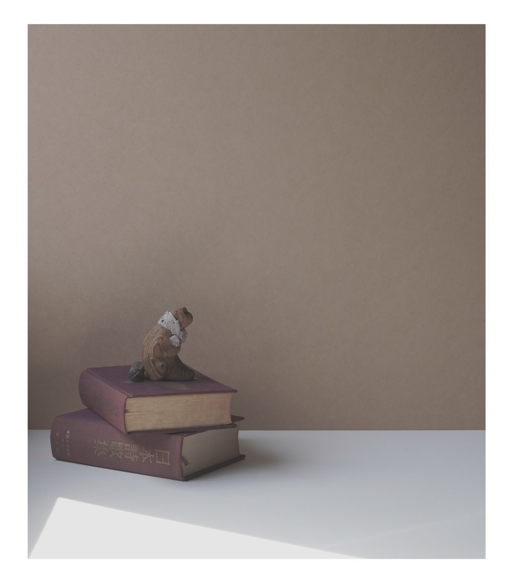 photo diaries.....reverberation