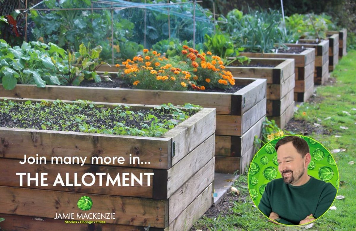 Jamie Mackenzie tweet media