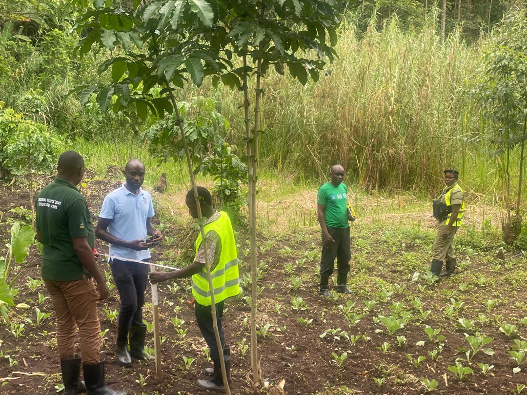 NRDIUGANDA's tweet photo. Wetland Demarcation Exercise in Fort Portal City#Let us preserve  and Protect our Natural Resources. https://t.co/HRnWURGNLc