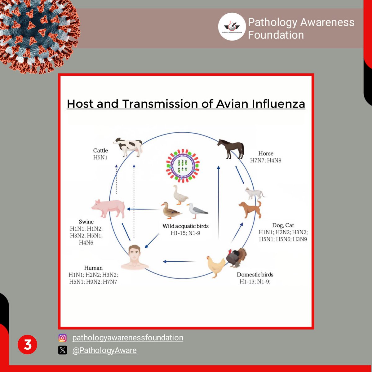 PathologyAware's tweet photo. π· Influenza is more than just a cold β it spreads fast and hits hard.
Our ambassadors a #UI urge everyone to:
β
Get vaccinated
β
Wash hands often
β
Stay home if you're sick
Letβs #StopTheFlu together! πͺπ½
#InfluenzaAwareness #PublicHealthNigeria #PreventInfluenza https://t.co/AYJUS6Vzfq