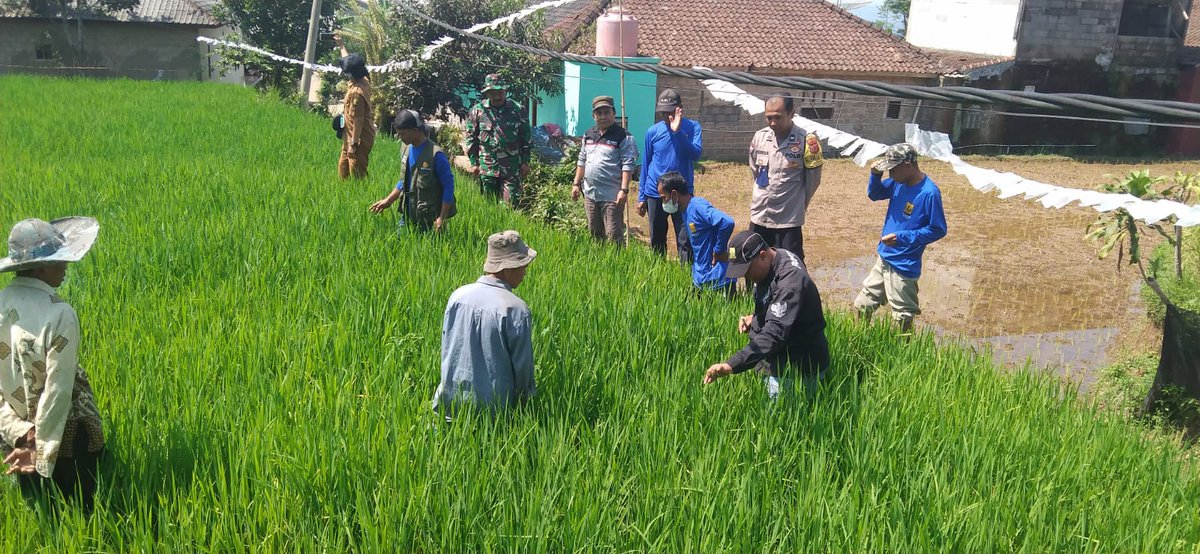 *Ketahanan pangan untuk kesejahteraan rakyat desa*
*#TerimaKasihPakYandriSusanto*

<a href="/prabowo/">Prabowo Subianto</a>
<a href="/YandriSusanto27/">Yandri Susanto</a>
<a href="/ArizaPatria/">Ariza Patria</a>
<a href="/taufikmadjid71/">IG : taufik.madjid</a>
<a href="/kemendespdt/">#BangunDesaBangunIndonesia</a>
<a href="/bpsdmkemendesa/">Bpsdm Kemendesa</a>