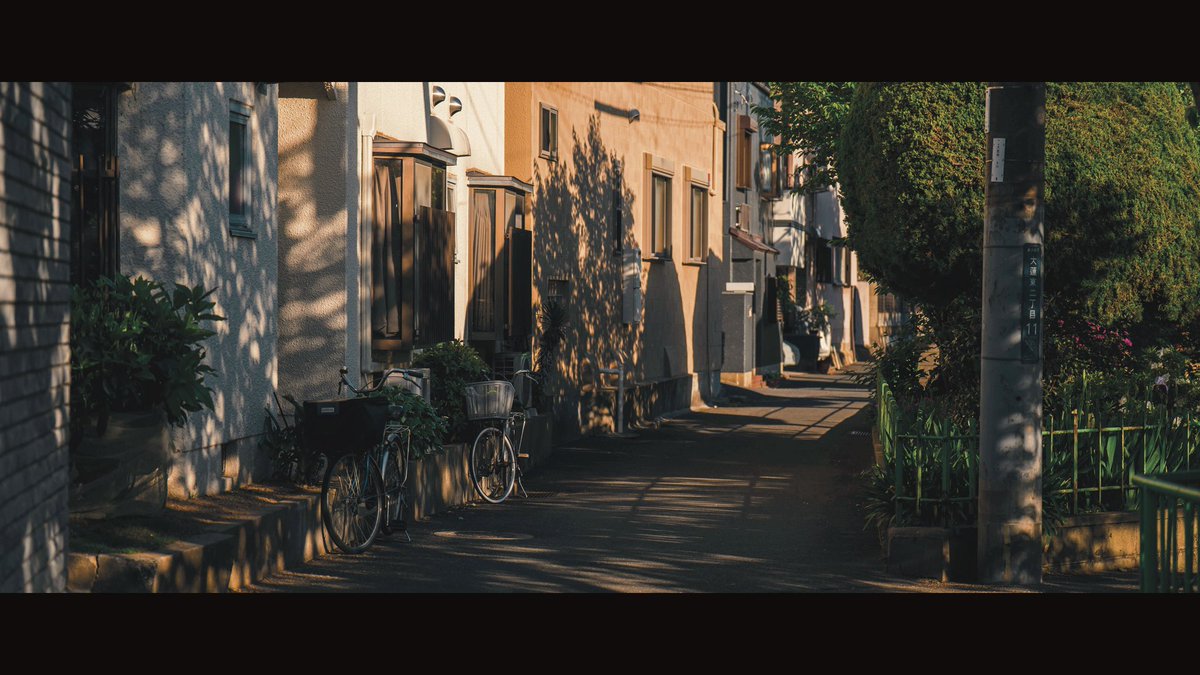 Rocky_studio tweet media