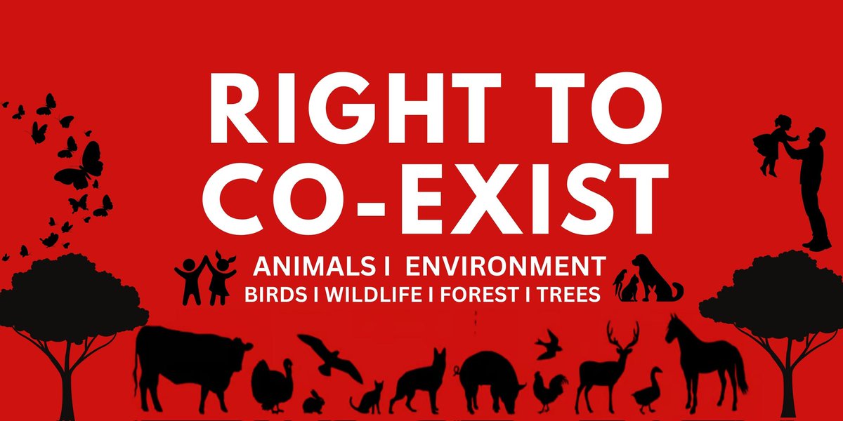 Want to end rabies and reduce dog bites ?

Reject hate
Reject Relocation
Embrace what works
End conflict with Science and compassion. 

Not with the British bullet or killing —but with sterilization, vaccination &amp; coexistence
17🧵
END
hsi.org/news-resources…