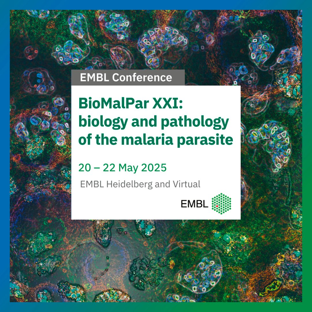2/ Annually, the EMBL BioMalPar XXI conference brings together scientists worldwide to convene, share critical insights, and explore cutting-edge technologies.

🙌 Virtual registration is still open!
embl.org/about/info/cou…