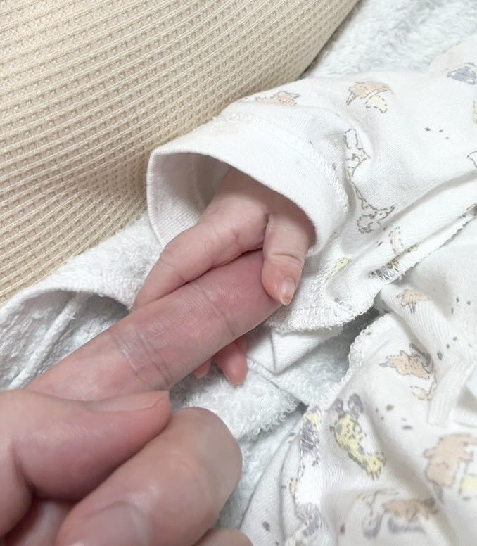hirofito's tweet photo. 新しい家族が増えました👶 https://t.co/tXOvLck84t