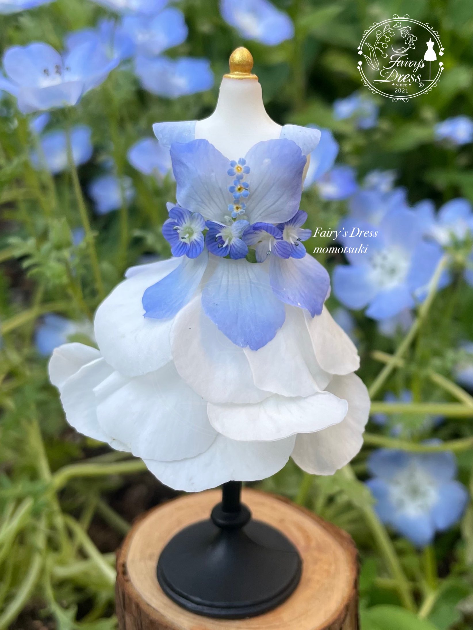 Highlights by Fairy's Dress (@Fairys_Dress) / X