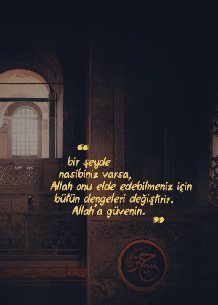 Monna Rosa (@ayaserenat) on Twitter photo 